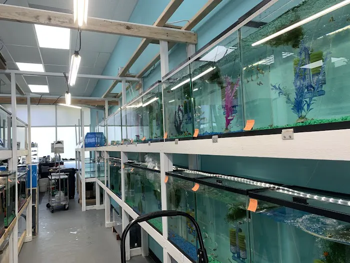 Fish World Picture 6