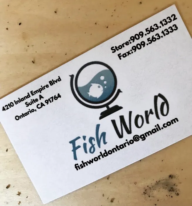 Fish World Picture 8