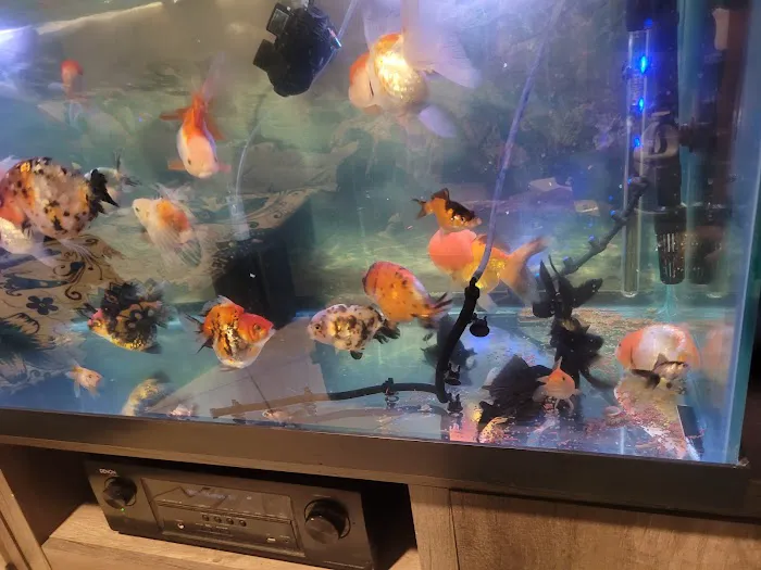 Fish World Picture 1