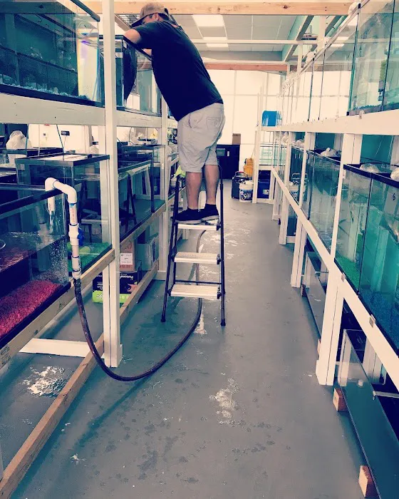 Fish World Picture 7