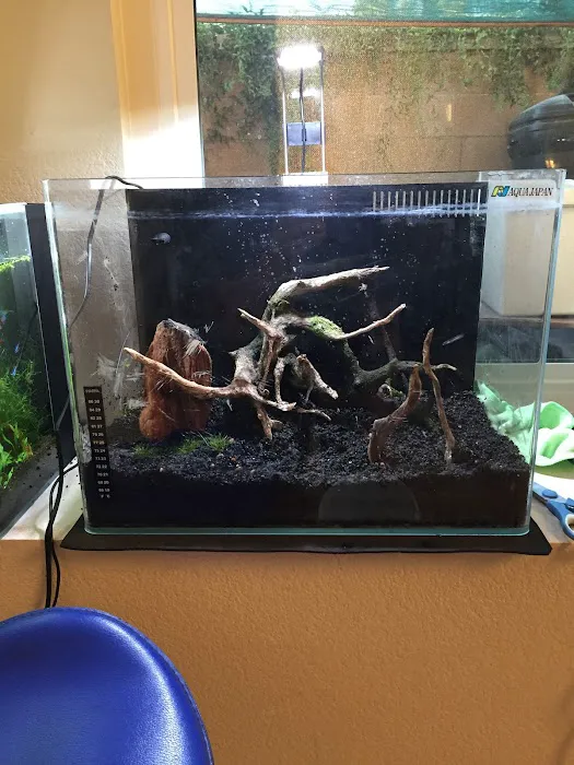 Fish World Picture 9