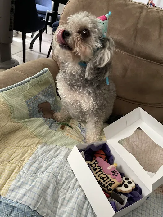 Three Dog Bakery Encino Picture 8