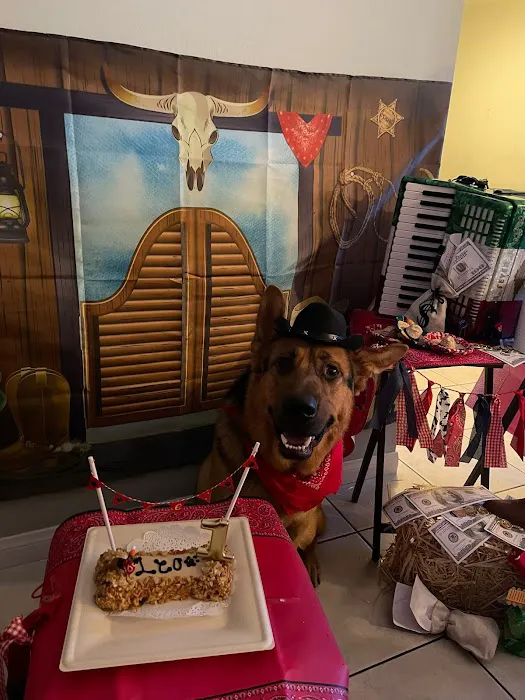 Three Dog Bakery Encino Picture 4