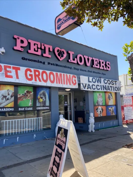Pet Lovers Picture 2
