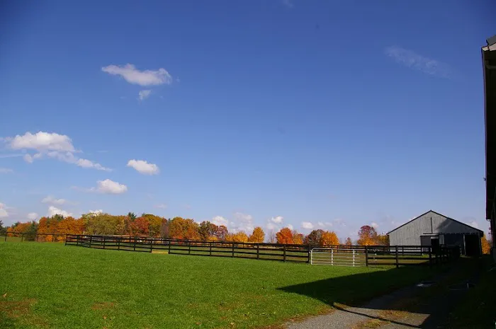 Equine Clinic At Oakencroft Picture 3