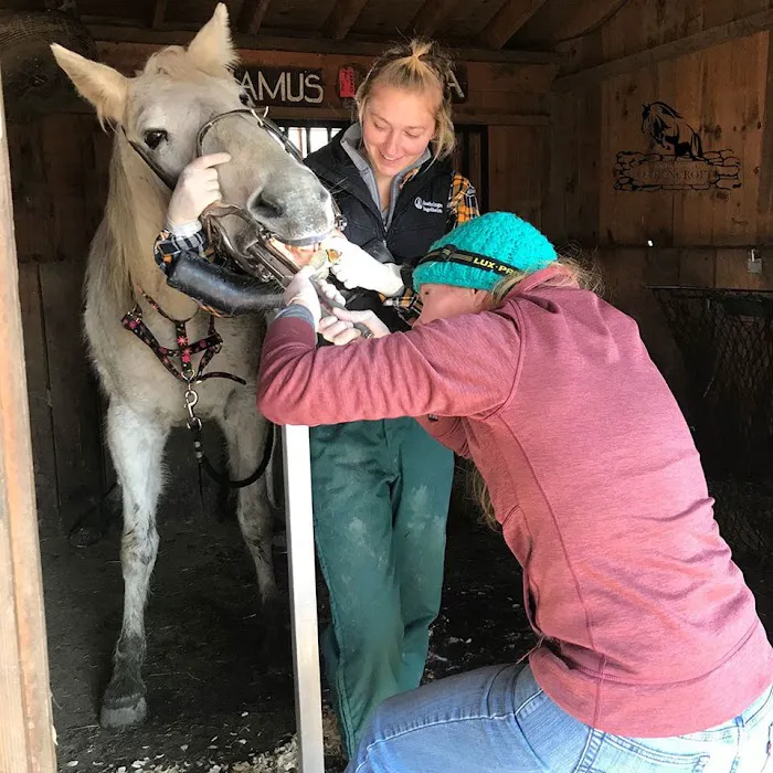 Equine Clinic At Oakencroft Picture 6