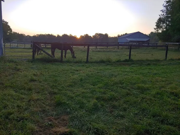 Equine Clinic At Oakencroft Picture 2