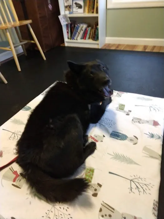 Alternative Veterinary Therapies Picture 9