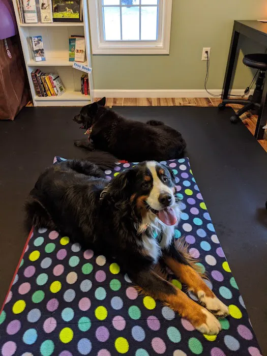 Alternative Veterinary Therapies Picture 5