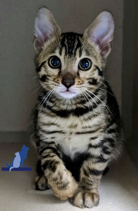 Delmar Animal Hospital Picture 3