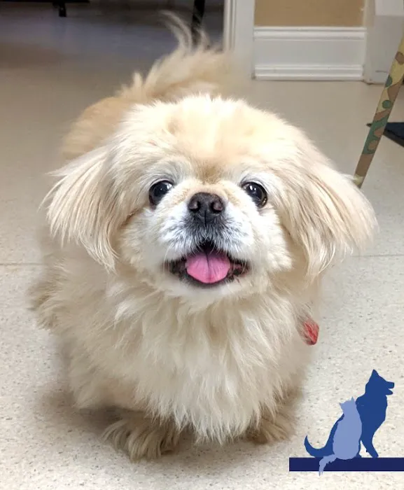 Delmar Animal Hospital Picture 7