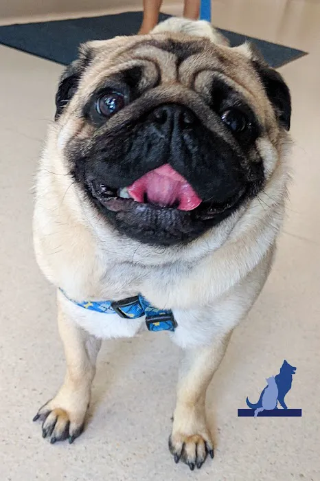 Delmar Animal Hospital Picture 9
