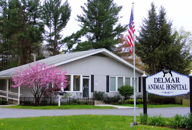 Delmar Animal Hospital Picture 2