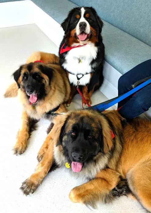 Delmar Animal Hospital Picture 6