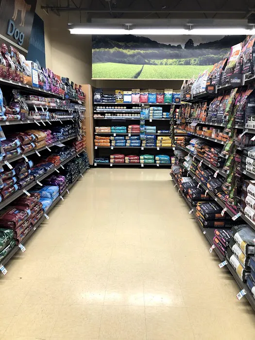 Petco Picture 9