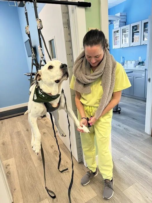 Bethlehem Veterinary Hospital Picture 8