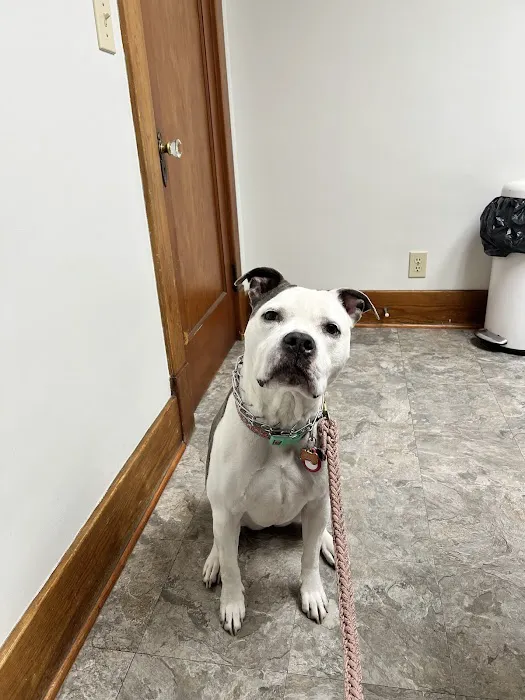 Bethlehem Veterinary Hospital Picture 4
