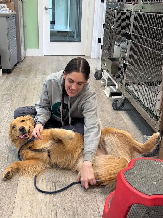 Bethlehem Veterinary Hospital Picture 1