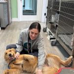 Bethlehem Veterinary Hospital
