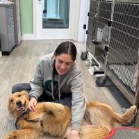 Bethlehem Veterinary Hospital ico