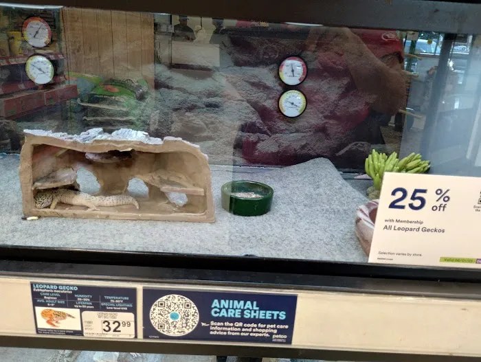 Petco Picture 8