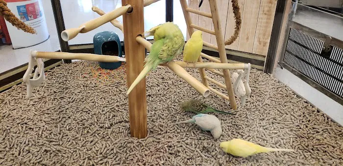 Petco Picture 4