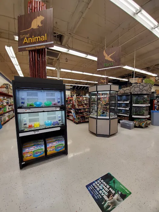 Petco Picture 3