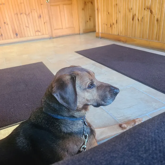 Drumm Veterinary Hospital Picture 3