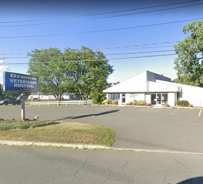 Drumm Veterinary Hospital Picture 10