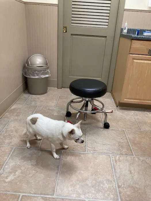 Drumm Veterinary Hospital Picture 6