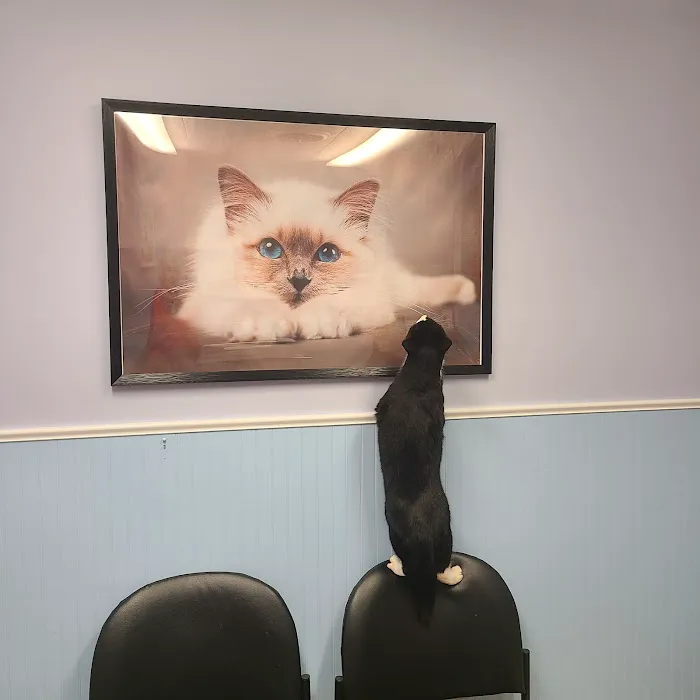 Drumm Veterinary Hospital Picture 4