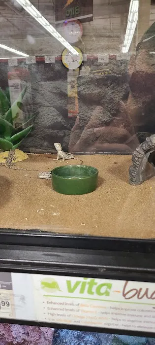 Petco Picture 6