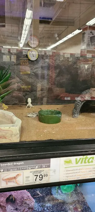 Petco Picture 7
