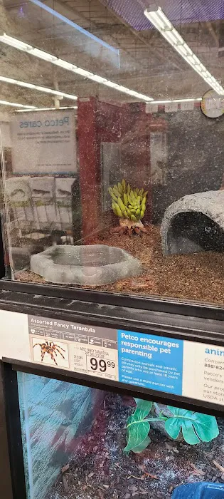 Petco Picture 1