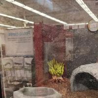 Petco ico