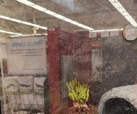 Petco