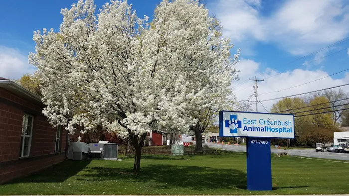 East Greenbush Animal Hospital Picture 8