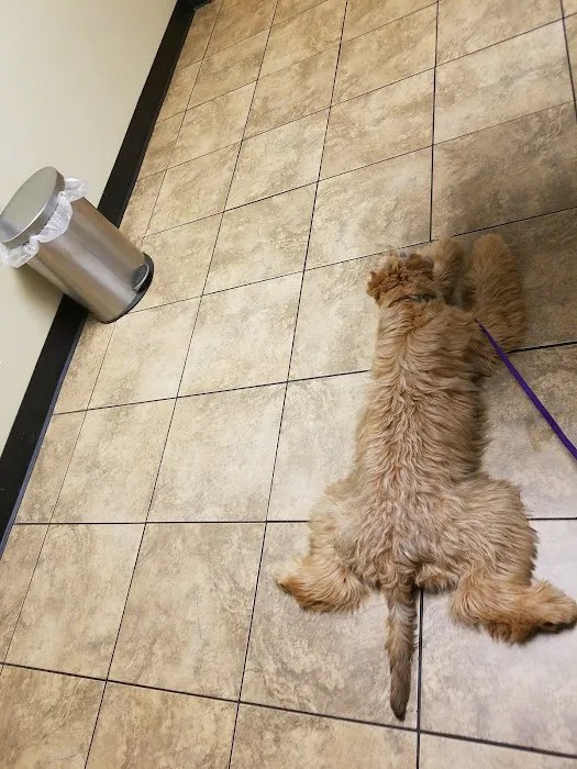 East Greenbush Animal Hospital Picture 2
