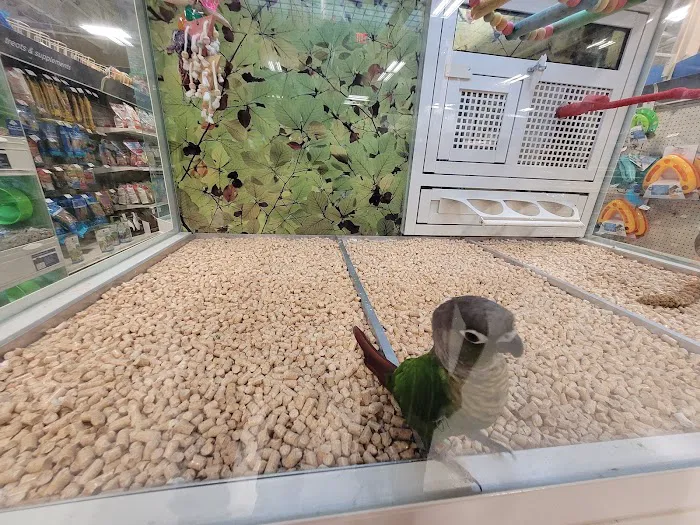 Petco Picture 2