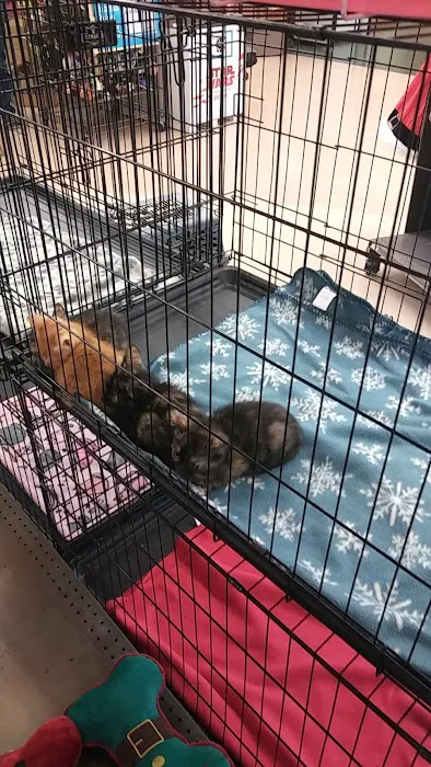 Petco Picture 1