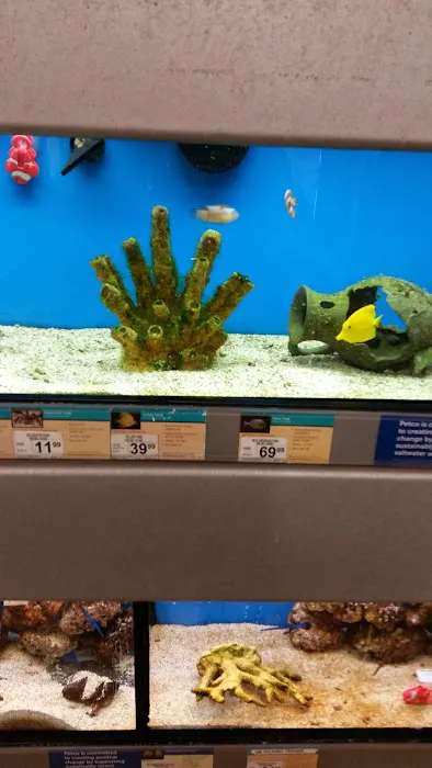 Petco Picture 8
