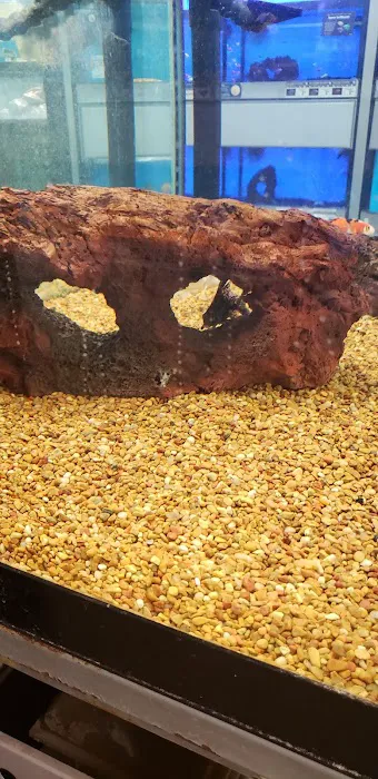 Petco Picture 6