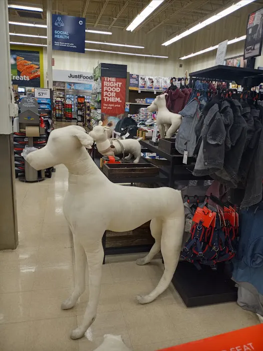 Petco Picture 9