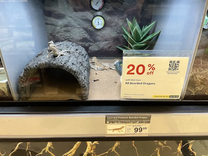 Petco Picture 10