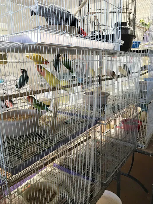 Gaby's pet shop Picture 1