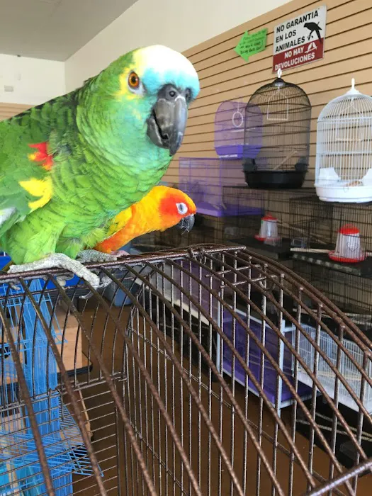 Gaby's pet shop Picture 9
