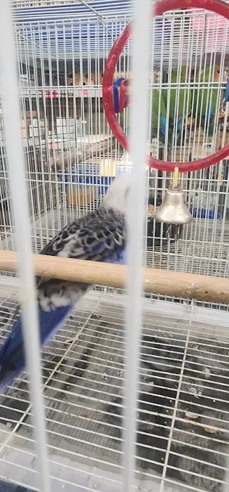 Gaby's pet shop Picture 3