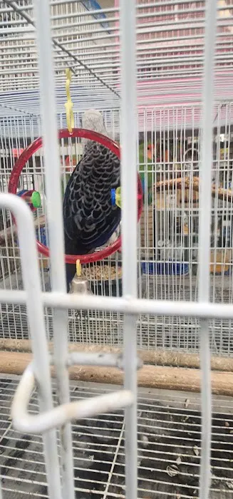 Gaby's pet shop Picture 4