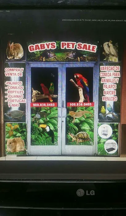 Gaby's pet shop Picture 10