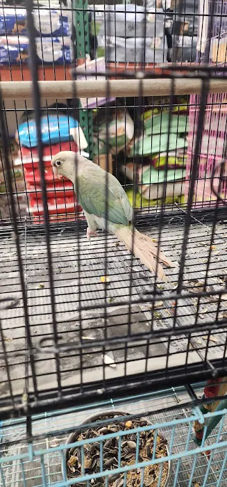 Gaby's pet shop Picture 7